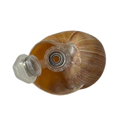 Snail Shell Devious Cache Container - Just Geocaching