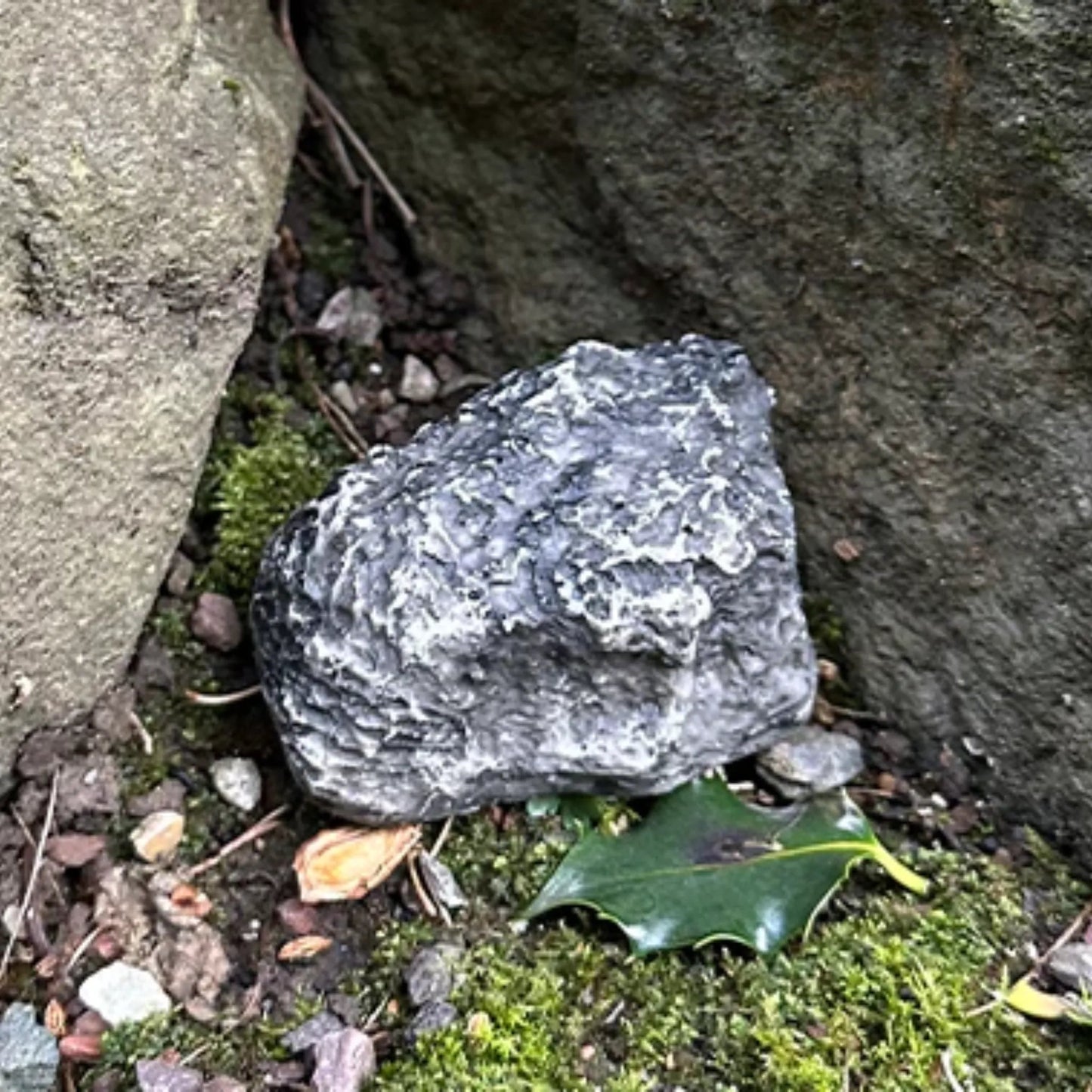 Devious Rock Cache Container – Grey - Just Geocaching