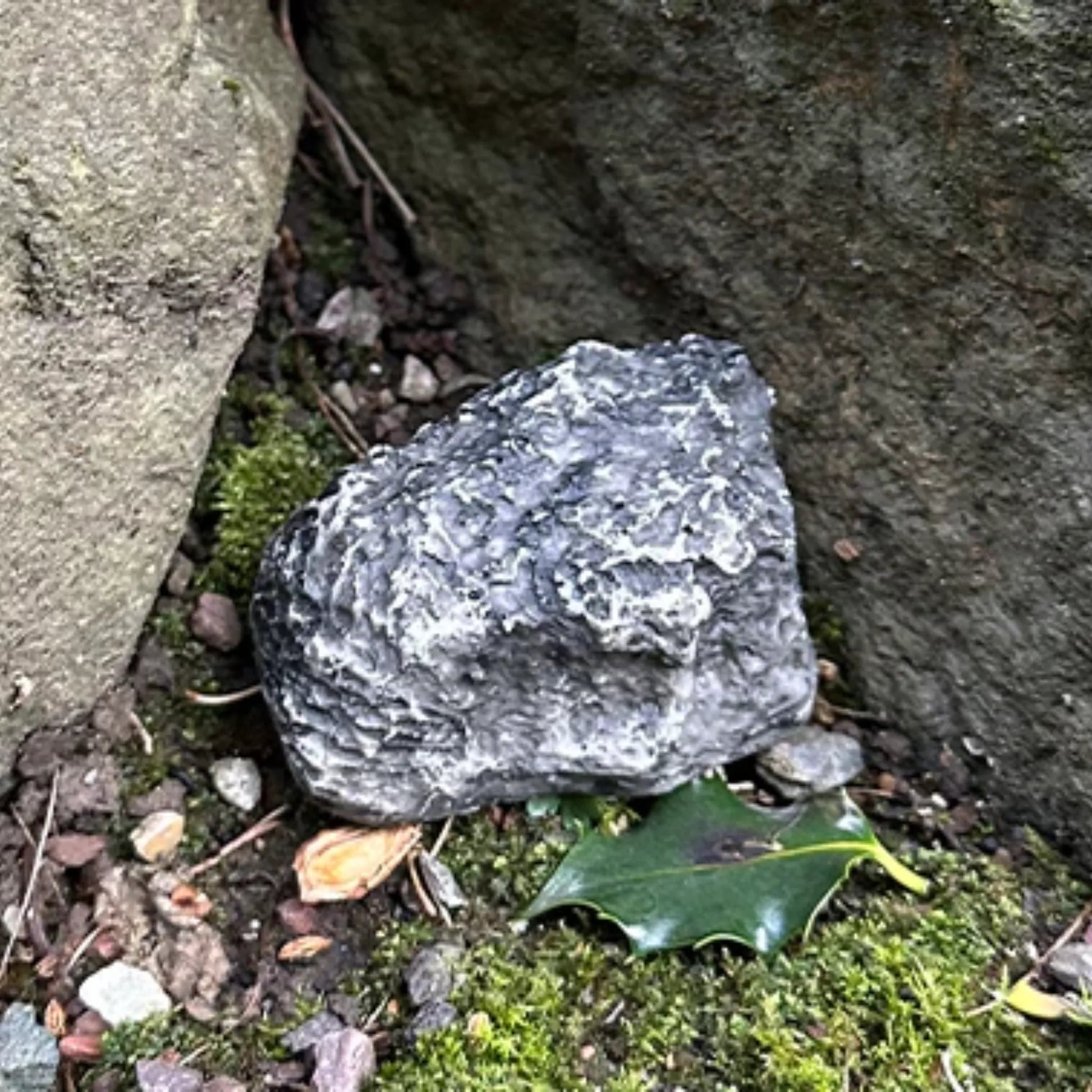 Devious Rock Cache Container – Grey - Just Geocaching