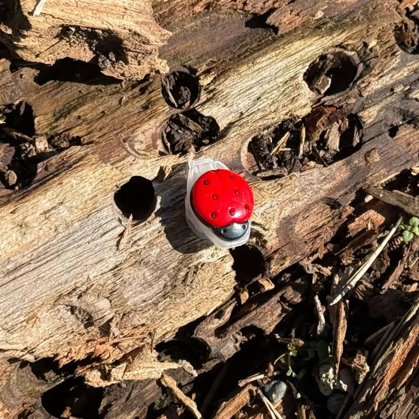 Ladybug Nano Tube Geocache Container - Just Geocaching