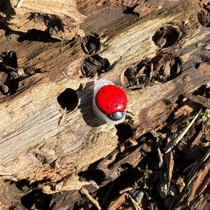 Ladybug Nano Tube Geocache Container - Just Geocaching