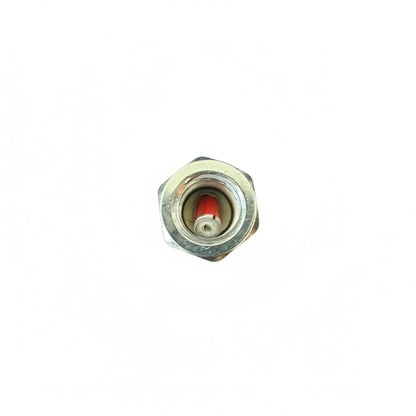 Magnetic Fake Dome Nut Geocache - Just Geocaching