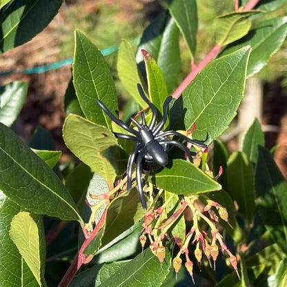 Nano Spider Geocache Container – Black - Just Geocaching