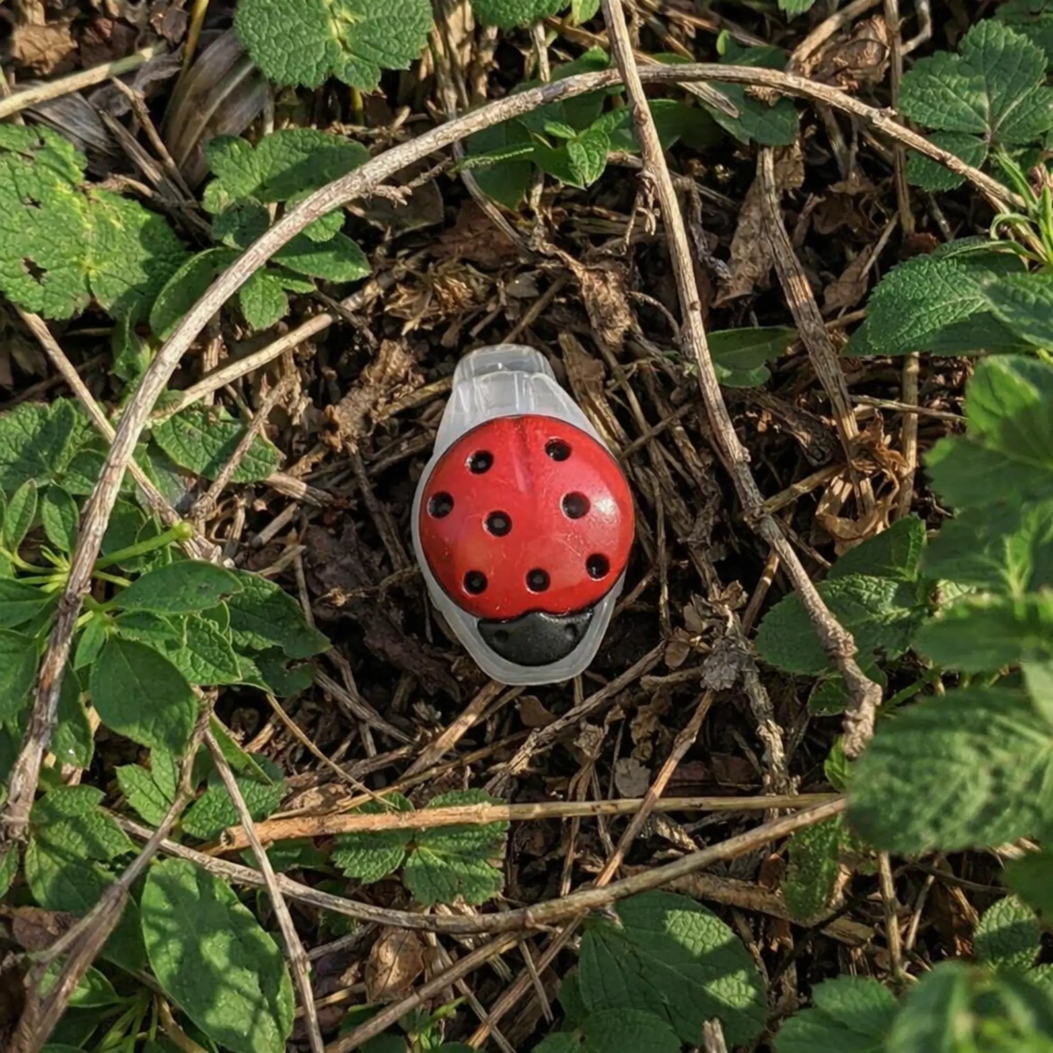 Ladybug Nano Tube Geocache Container