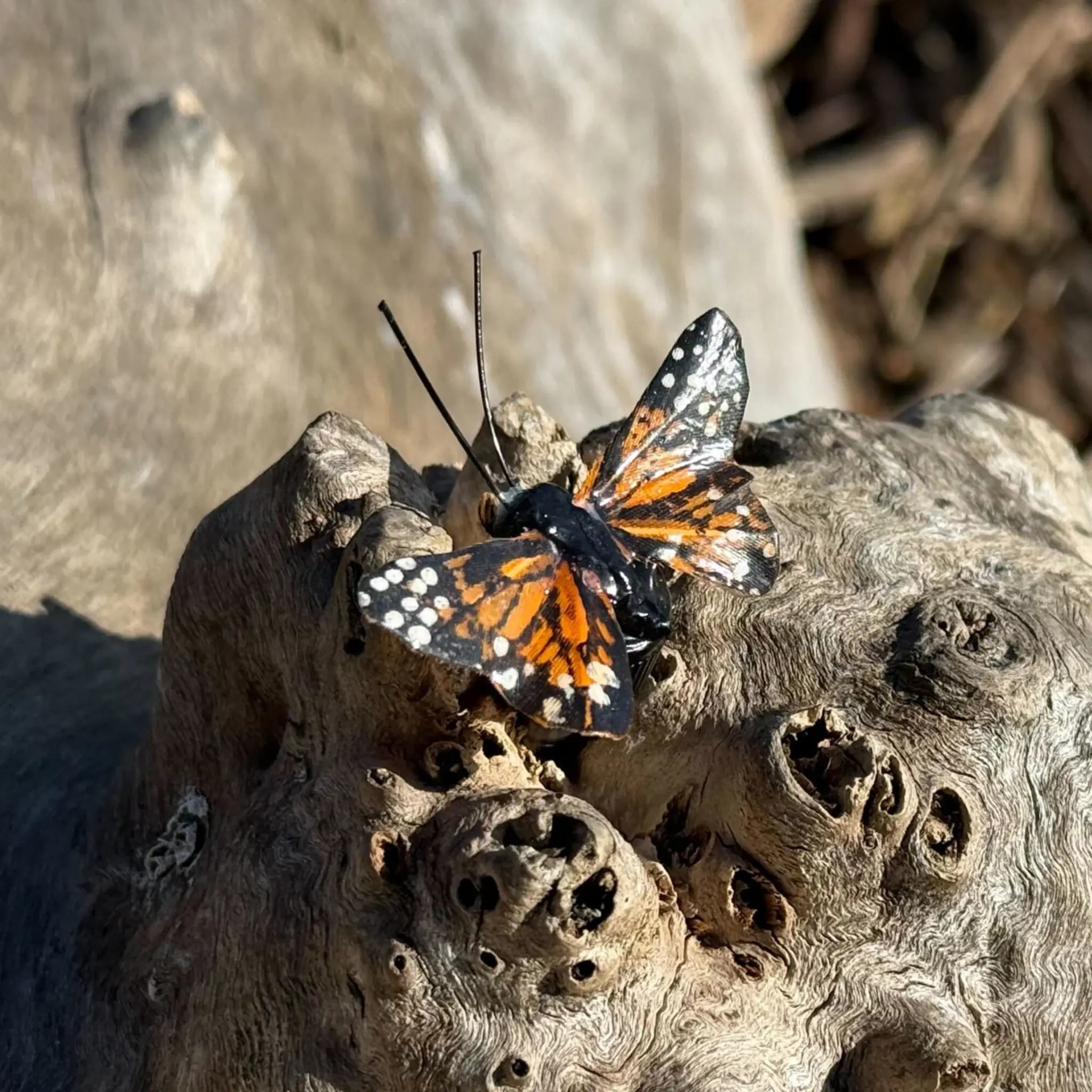 Nano Butterfly Geocache Container