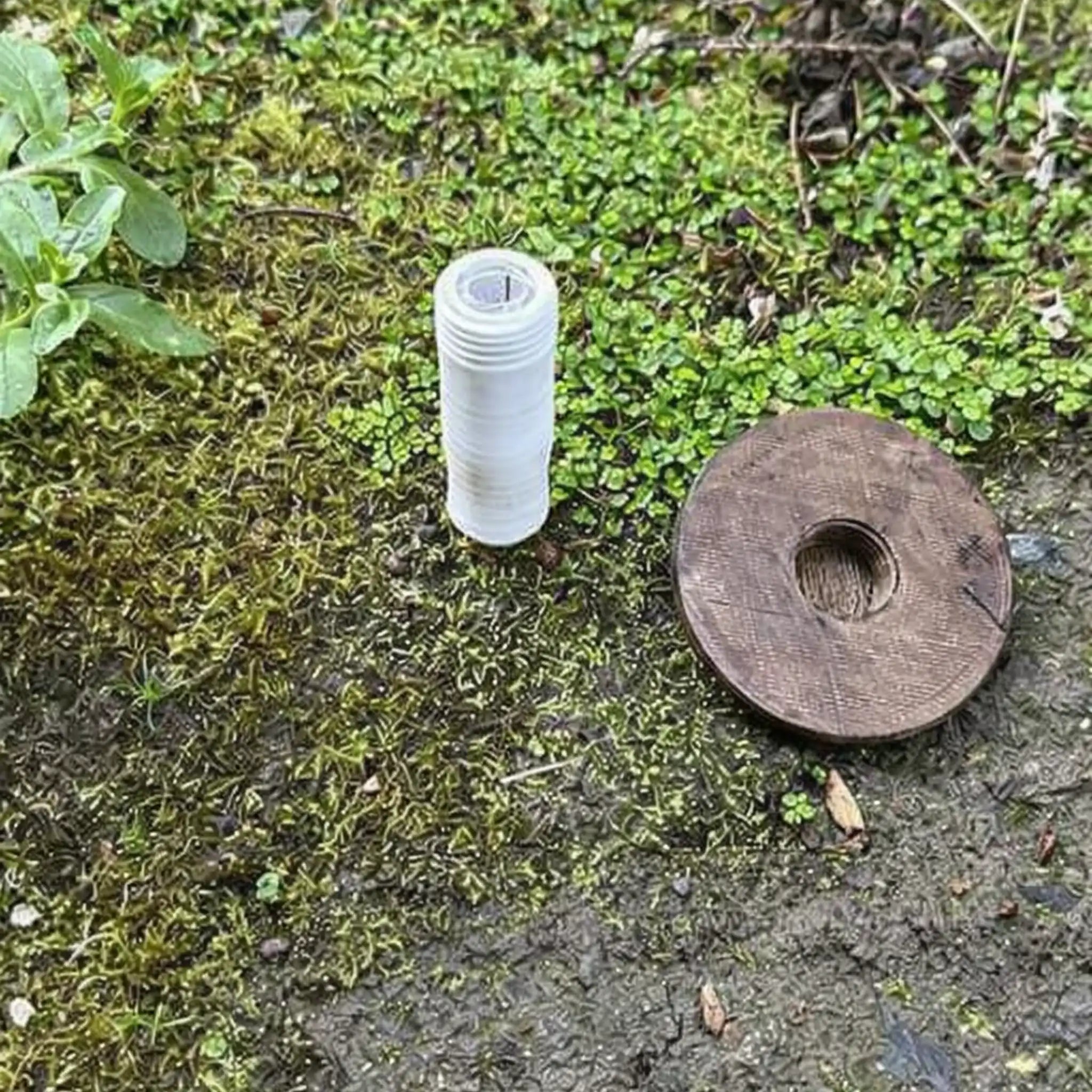 Small Mushroom Devious Cache Container