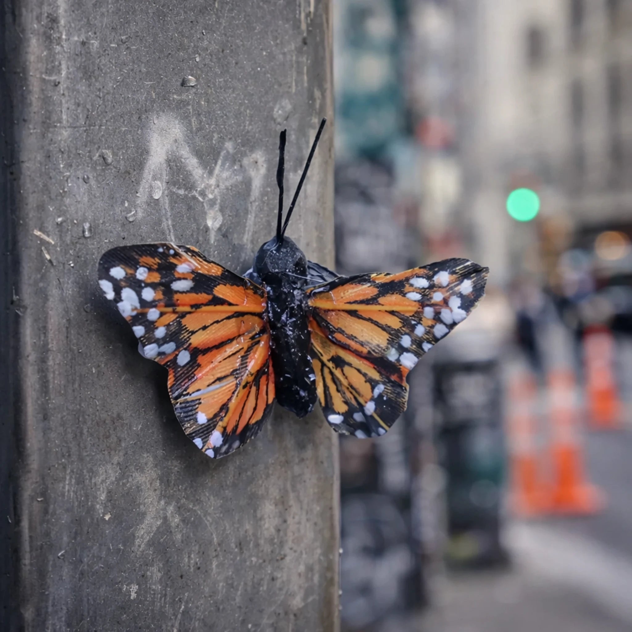 Nano Butterfly Geocache Container