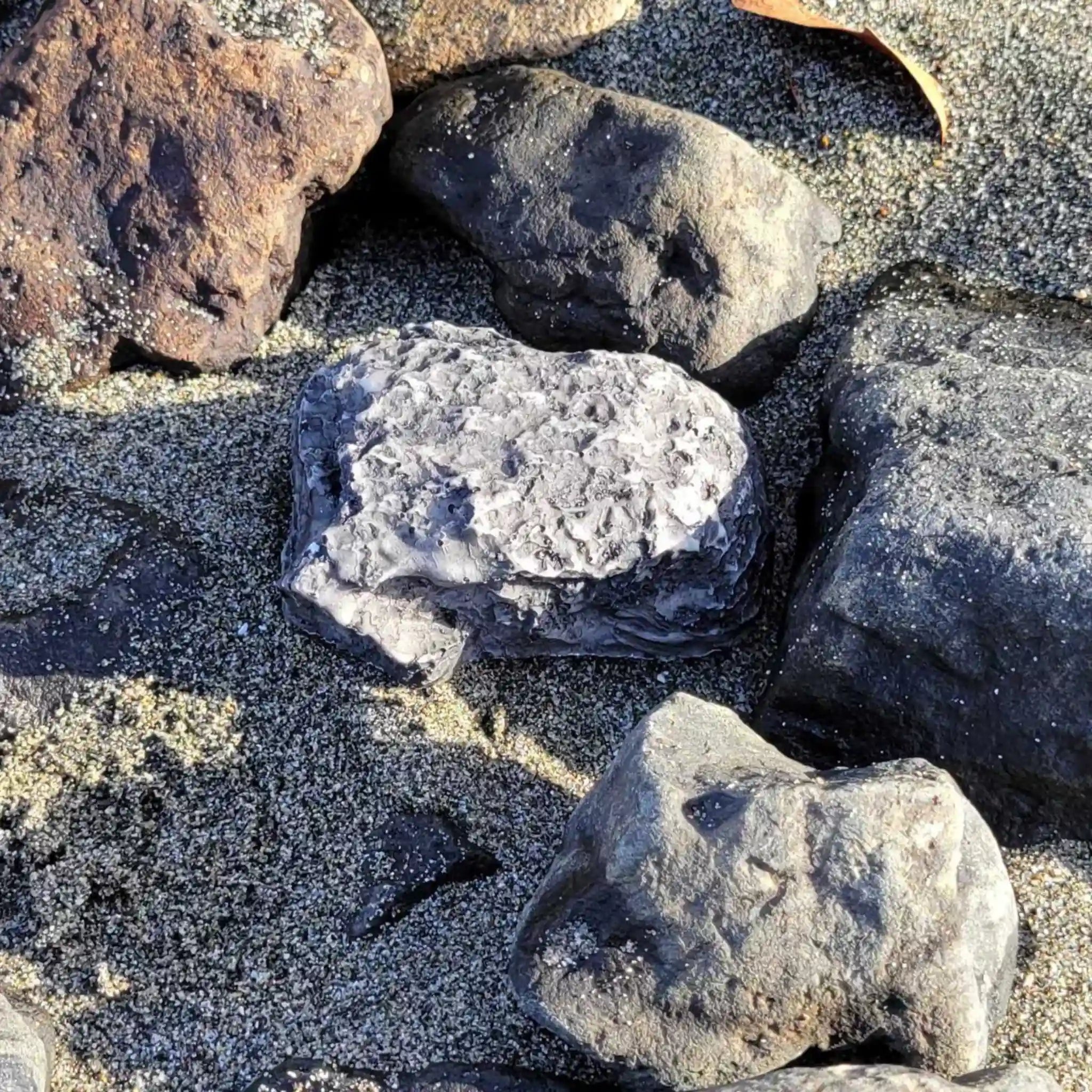 Devious Rock Cache Container – Grey