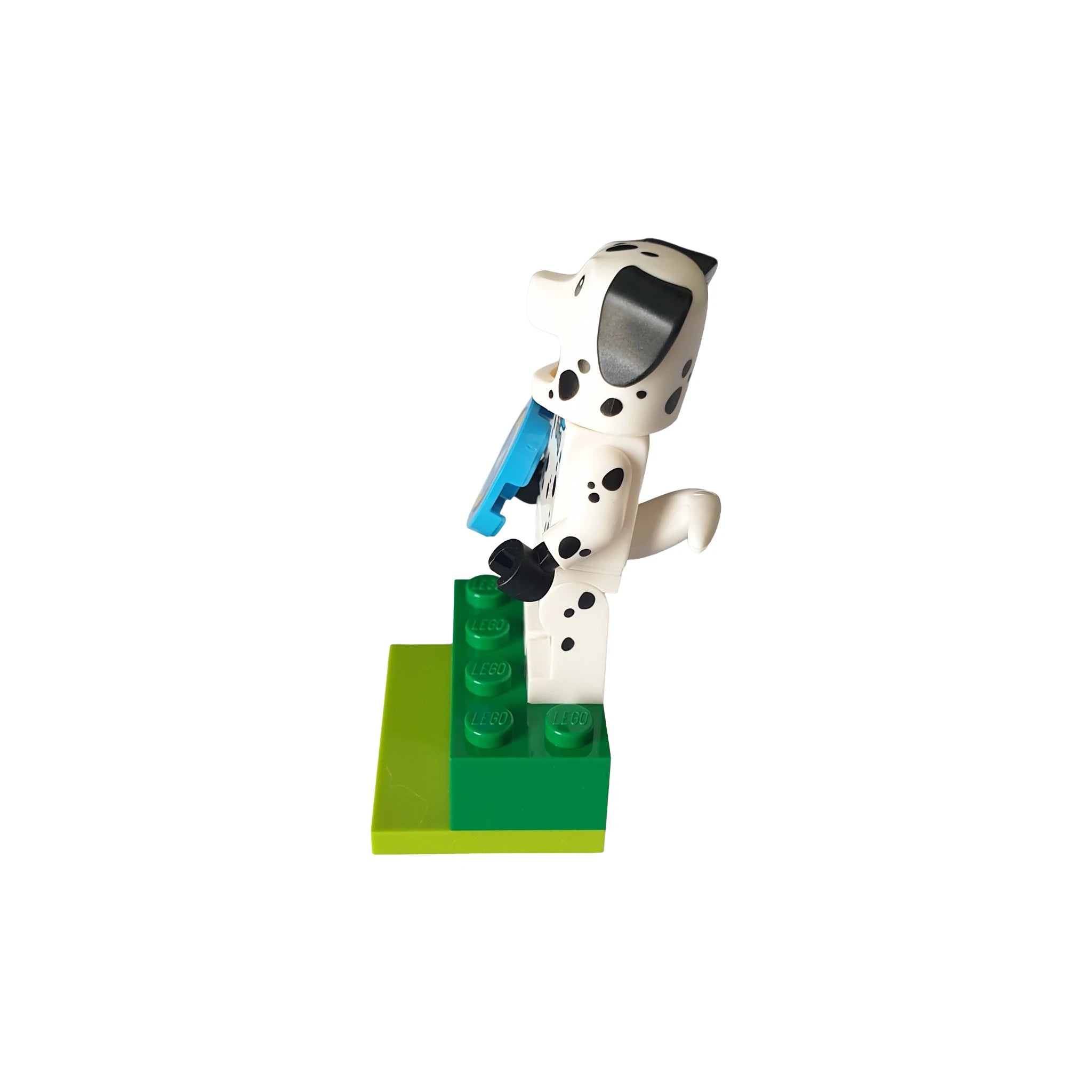 Dalmatian dog LEGO minifigure with blue accessory on green LEGO base, side view