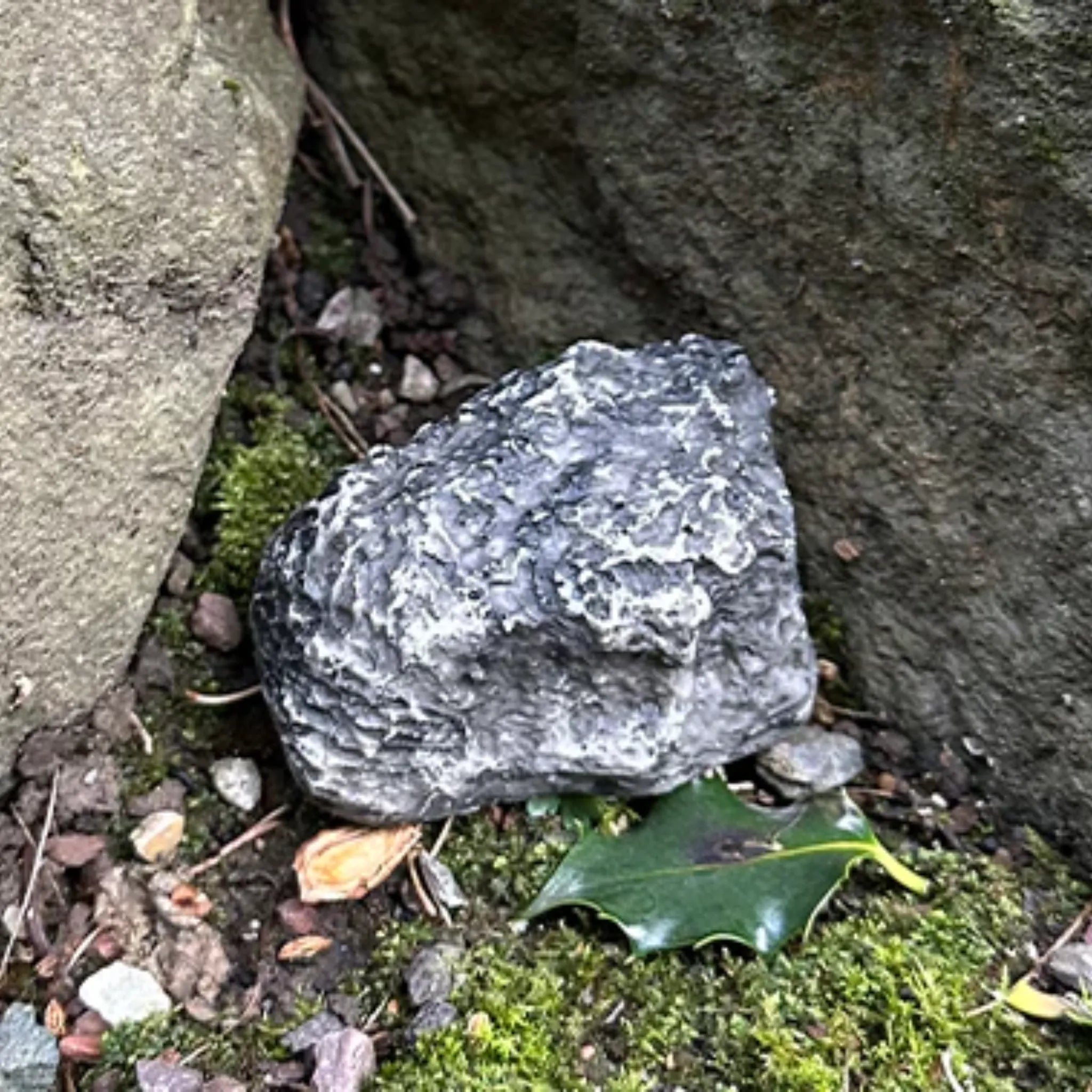 Devious Rock Cache Container – Grey