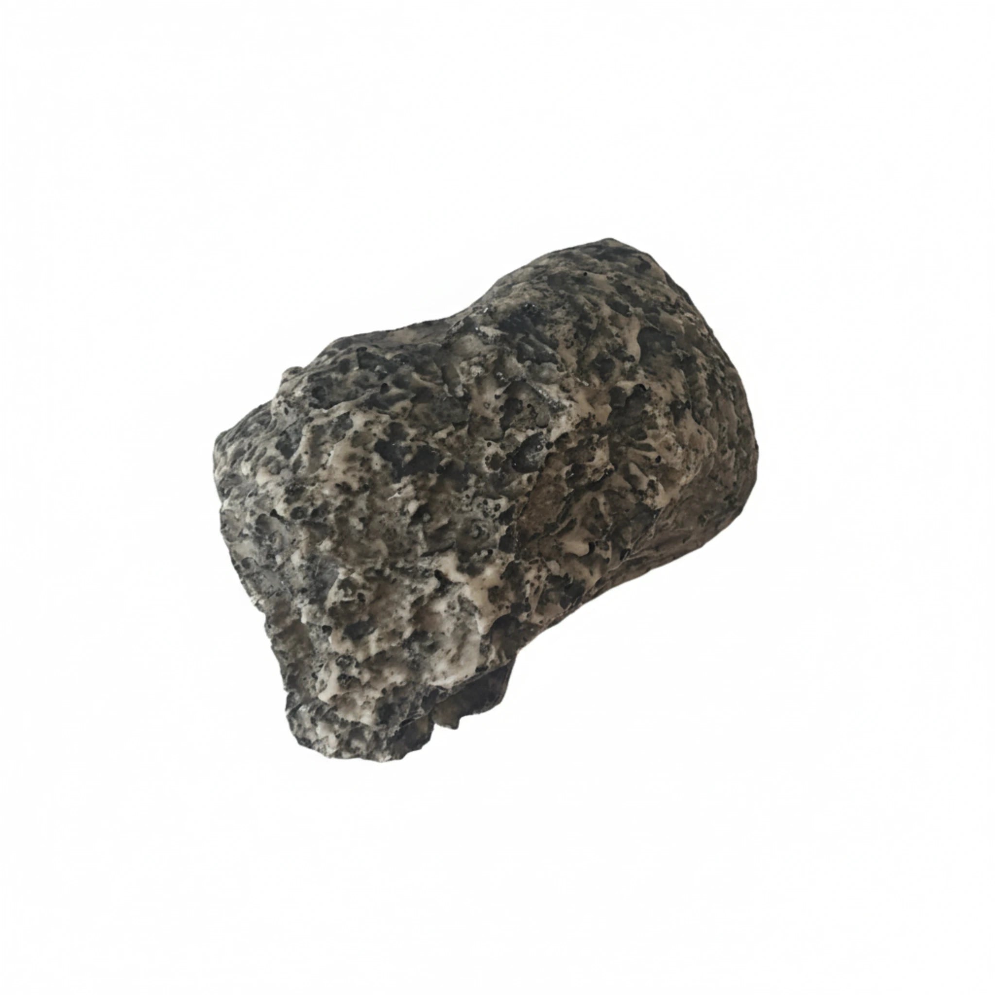 Devious Rock Cache Container – Grey